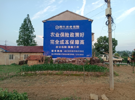 镇江墙体广告的优劣势你知道吗？